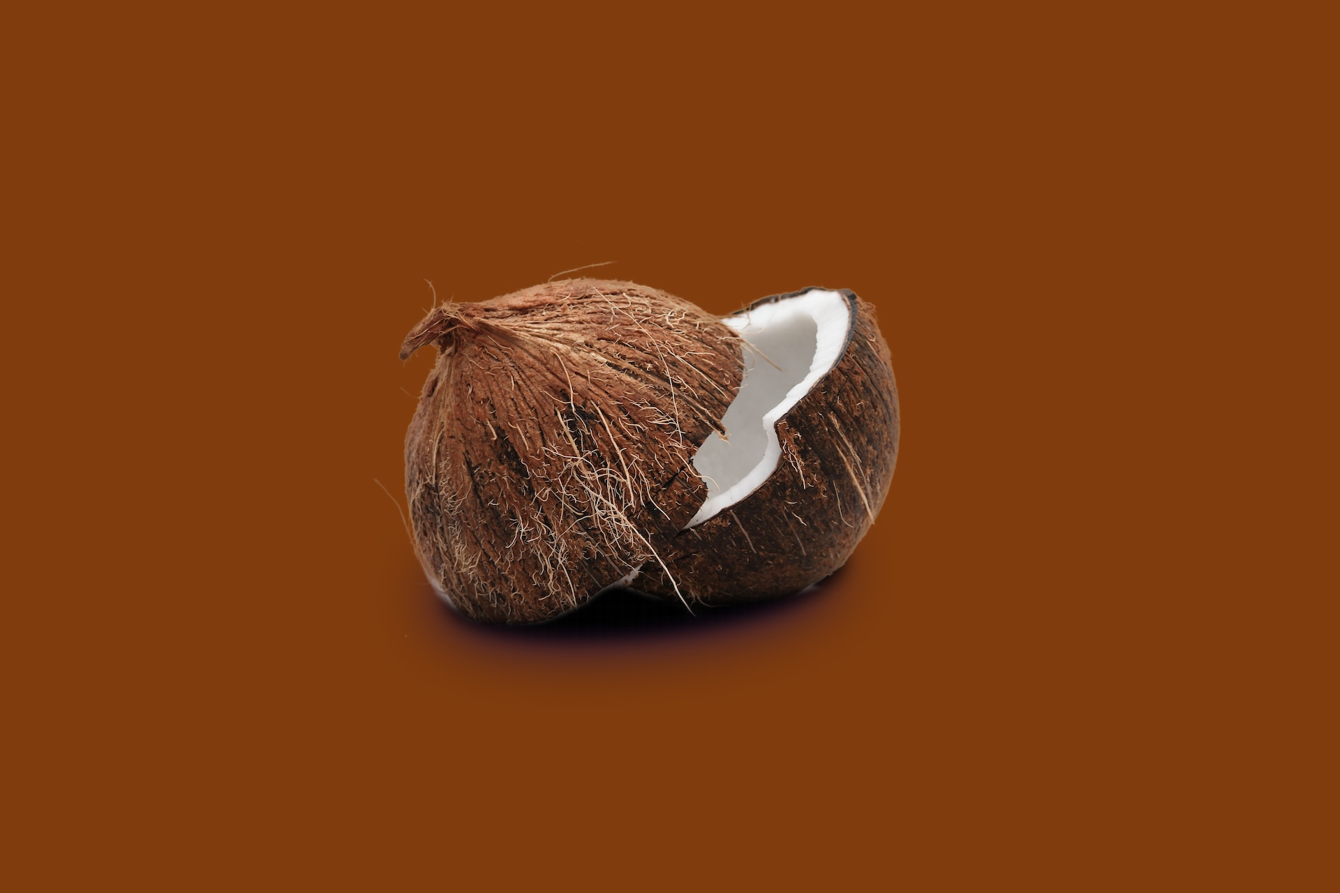 Coco Peat